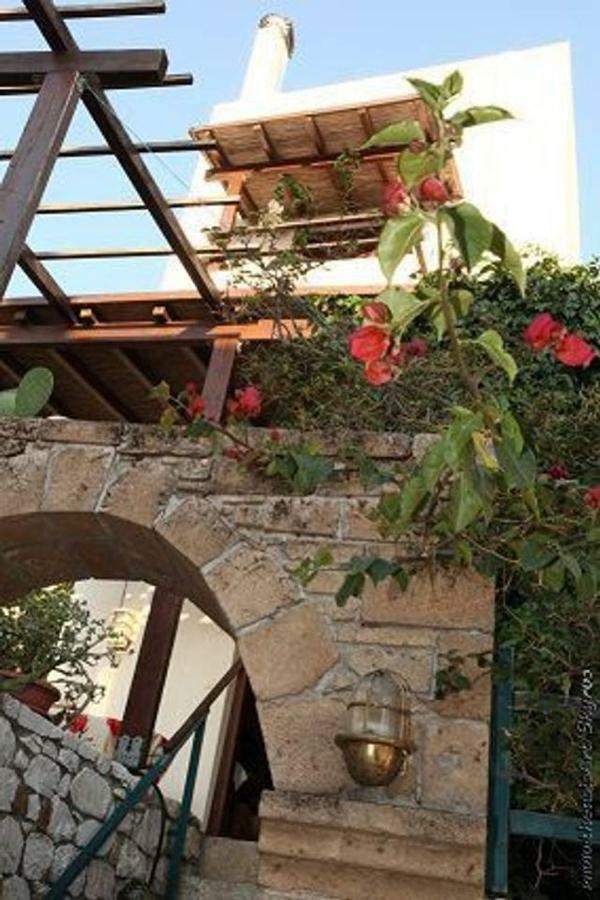 Traditional Studio Skyros Exterior photo
